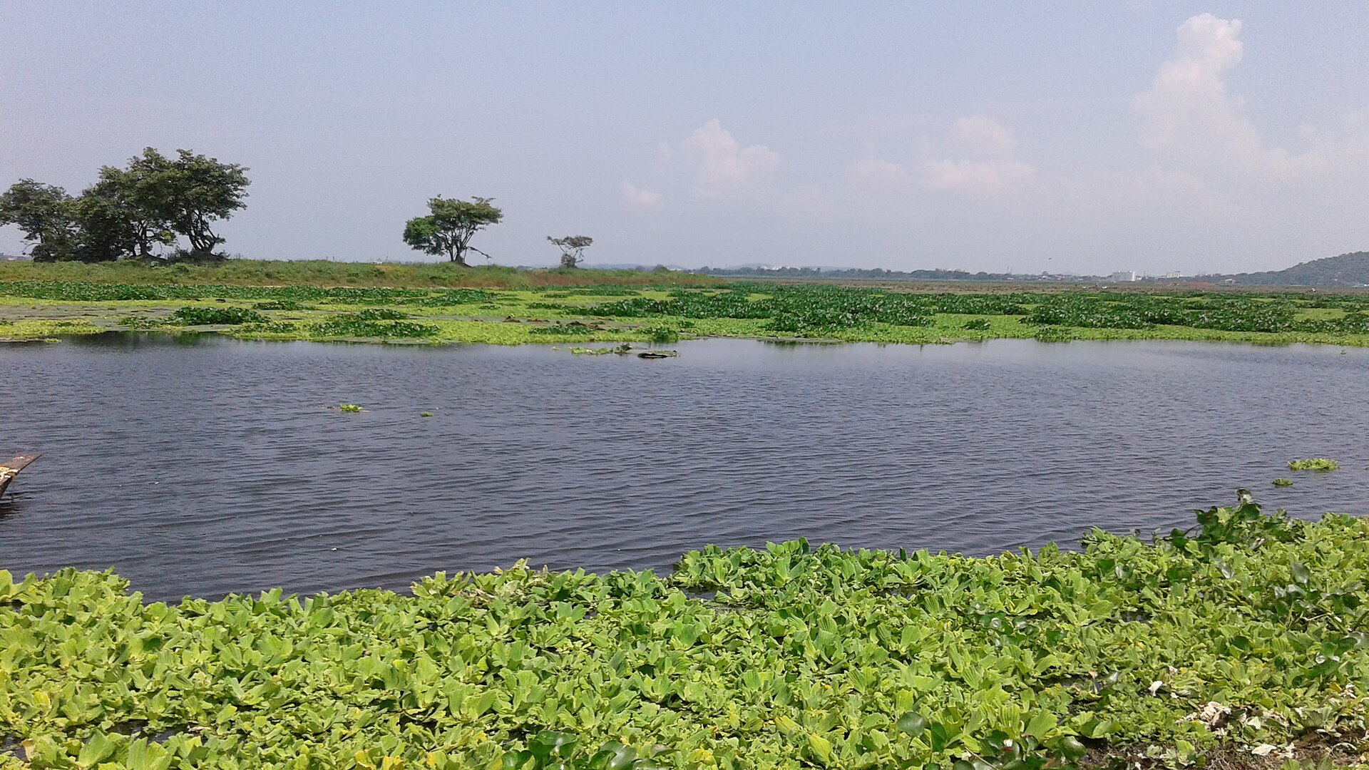 Deepor Beel wetland and bird sanctuary in Guwahati Assam